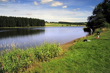 Pixhaier Teich (2) Buntenbock Oberharzer Wasserwirtschaft Bilder